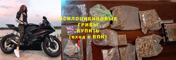 spice Михайлов