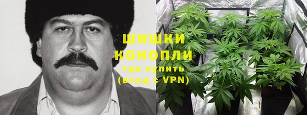 амфетамин Белокуриха