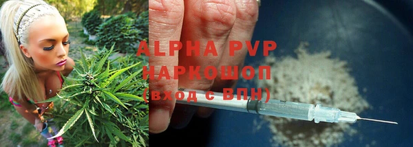 spice Михайлов