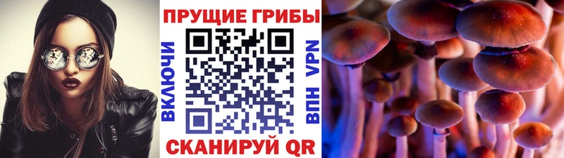 Галлюциногенные грибы мухоморы МЕГА как зайти Брюховецкая